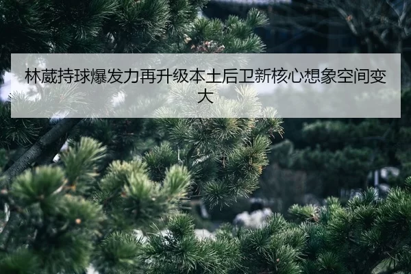 lin-wei-chi-qiu-bao-fa-li-zai-sheng-ji-ben-tu-hou-wei-xin-he-xin-xiang-xiang-kong-jian-bian-da-2-875.jpg