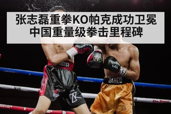 Zhang Zhilei boxing knockout